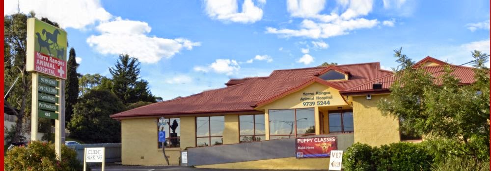 Yarra Ranges Animal Hospital - Lilydale , Australia