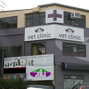 St Heliers Veterinary Hospital - St Heliers , New Zealand