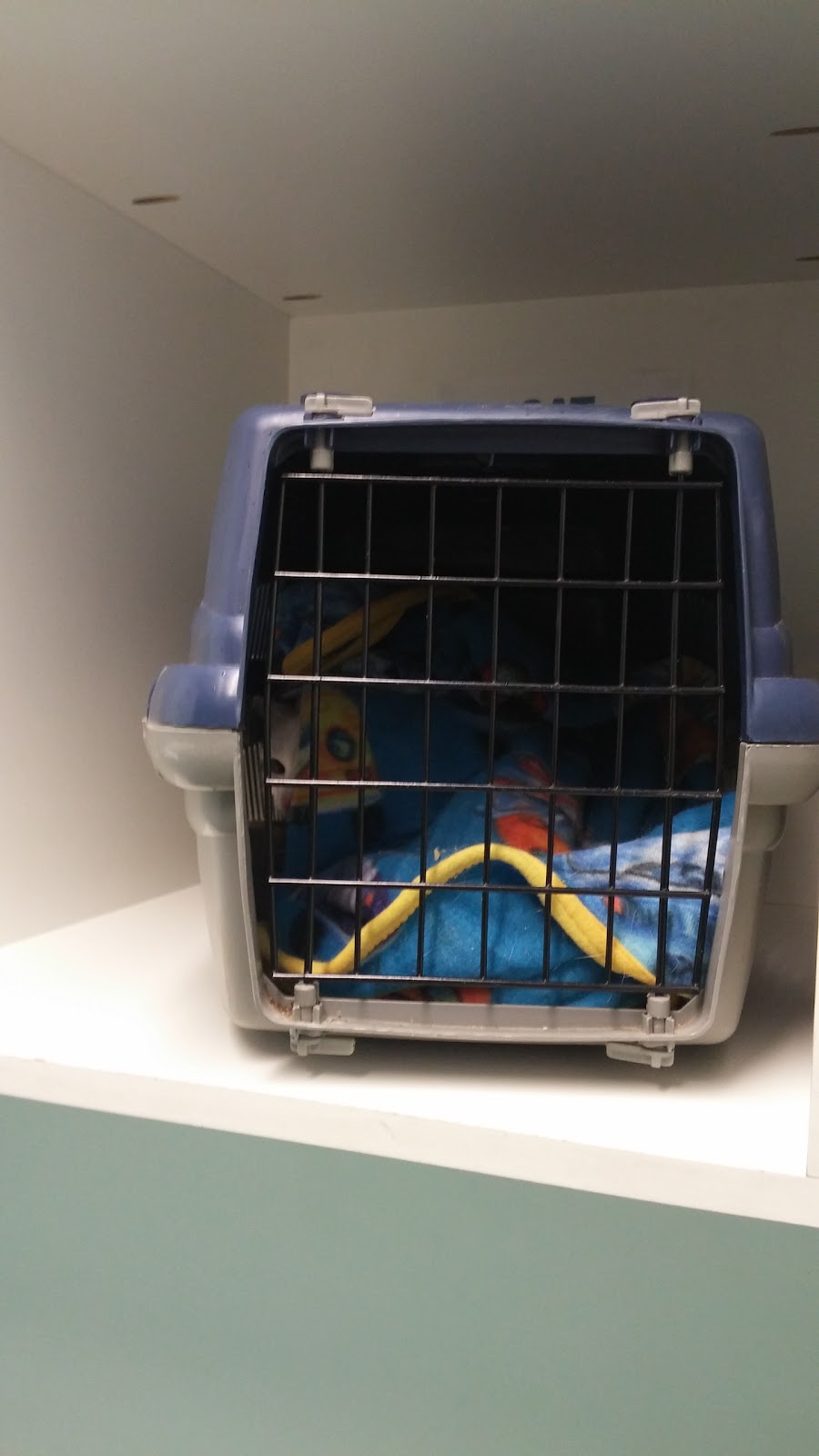 Vets For Pets Bramley - Leeds , United Kingdom