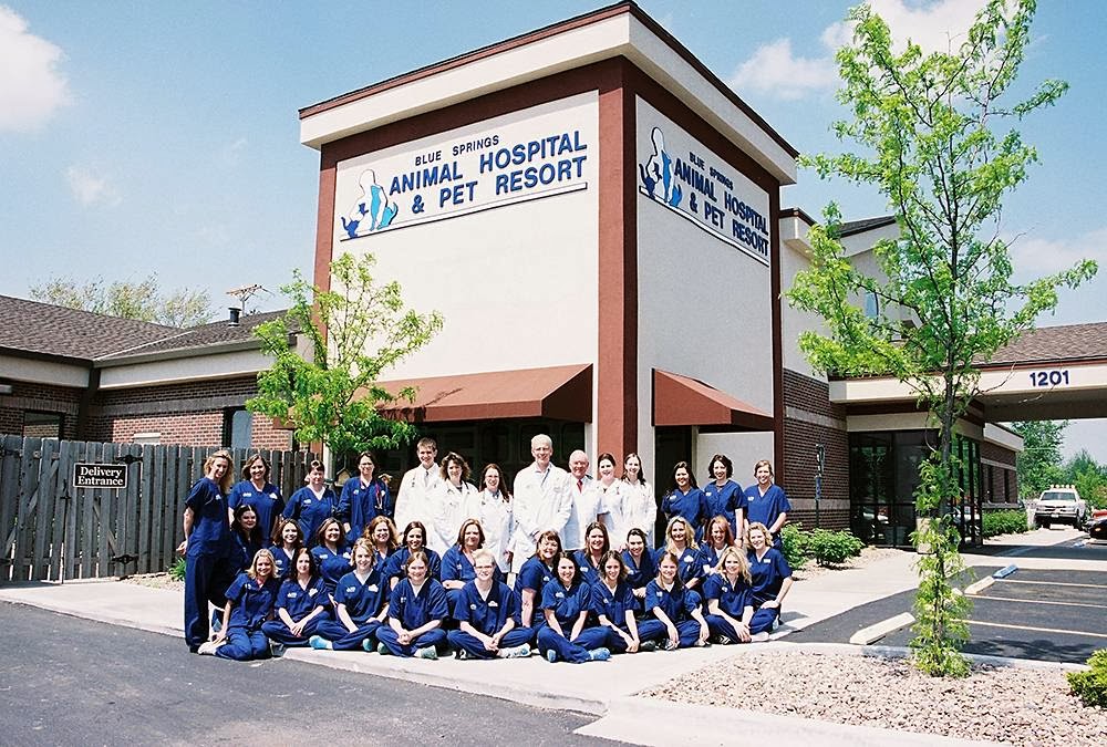 Blue Springs Animal Hospital - Blue Springs , United States