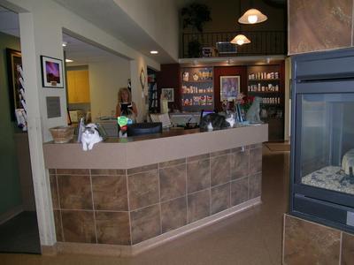 Business's Photo