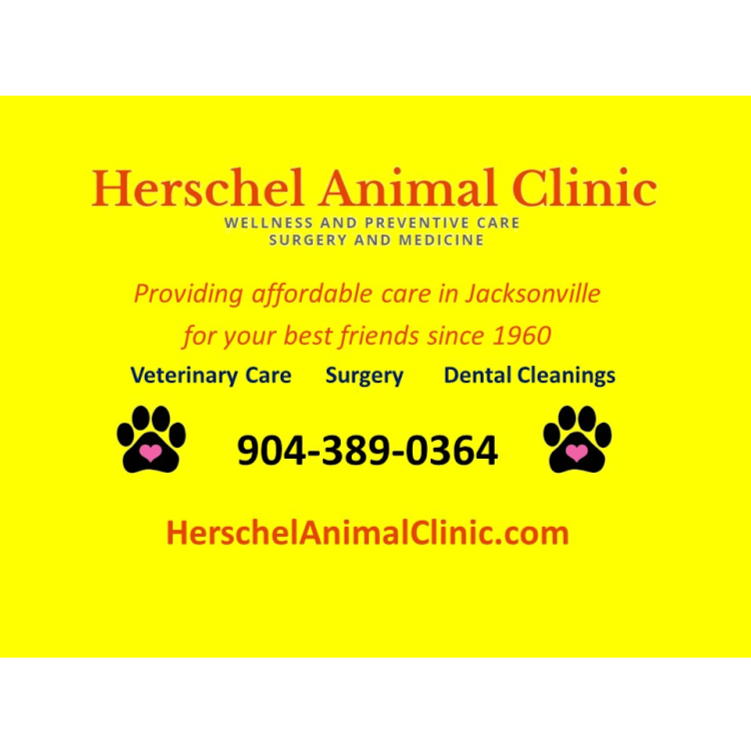 River City Veterinary Hospital - Jacksonville , United States