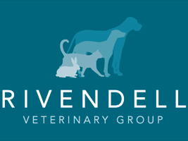 Greyfriars Small Animal Clinic - Guildford , United Kingdom