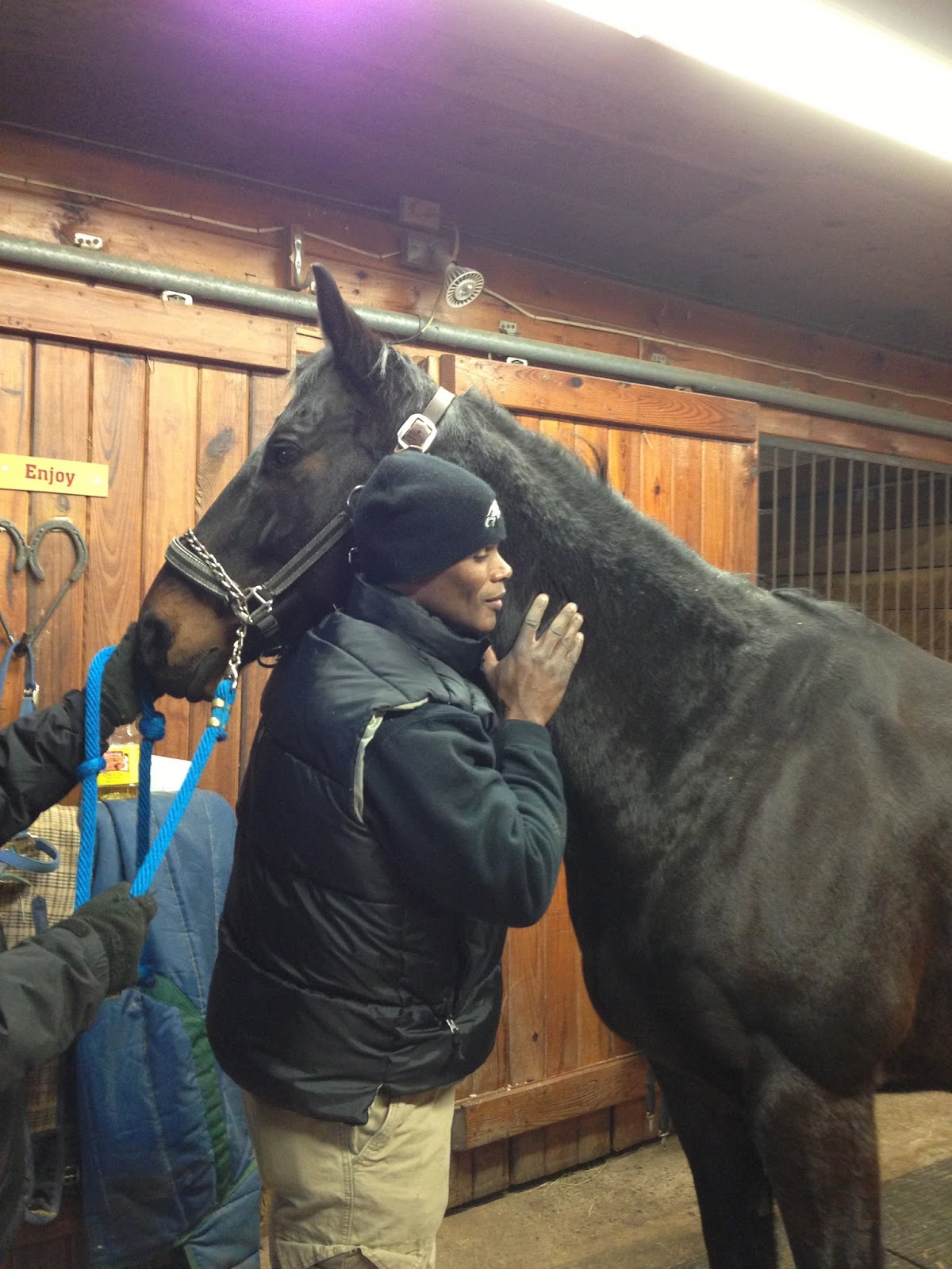 Veterinary Spinal Manipulative Therapy Of Cny - East Syracuse , United States