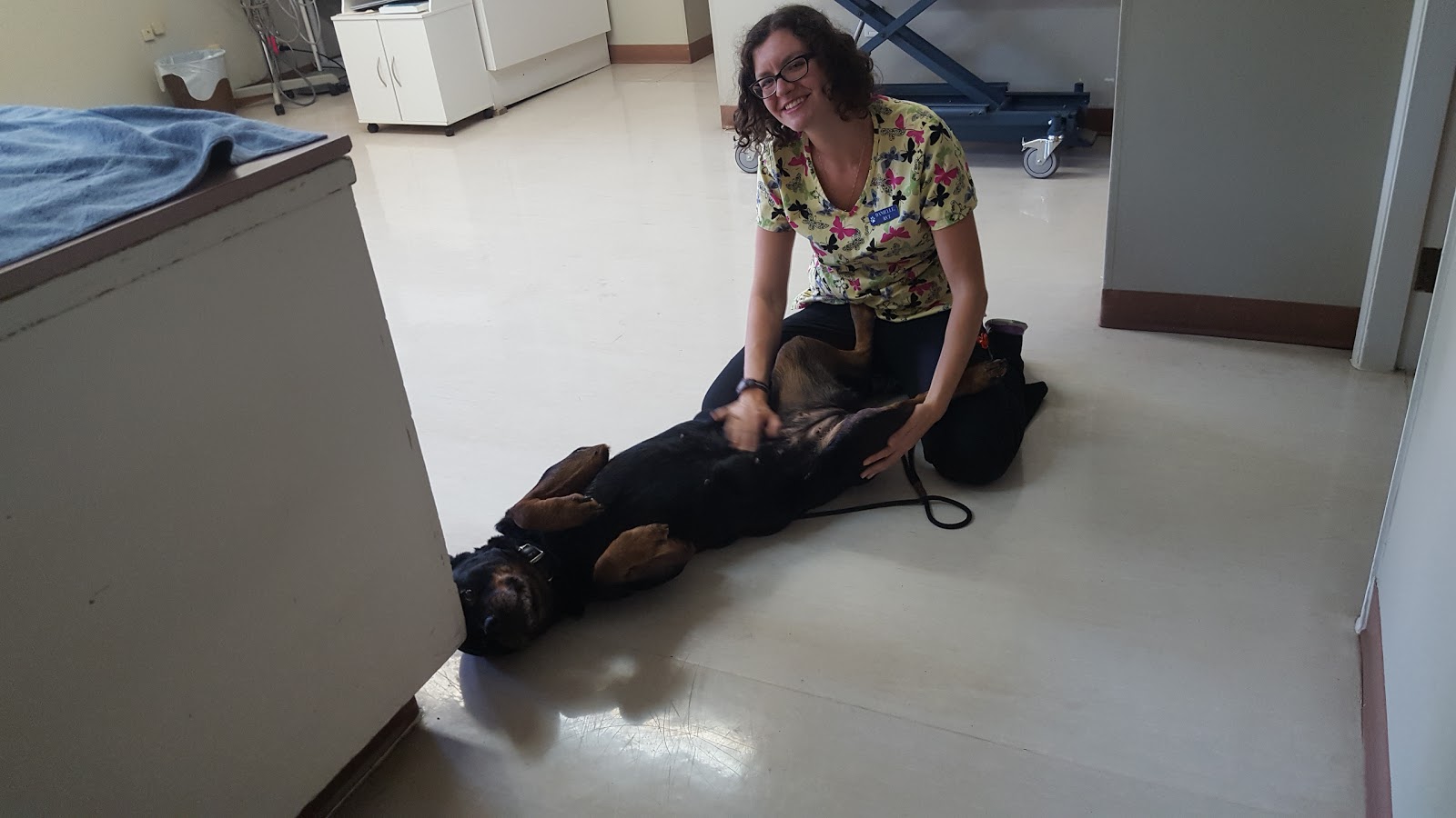 Bellevue Veterinary Hospital - Parksville , Canada