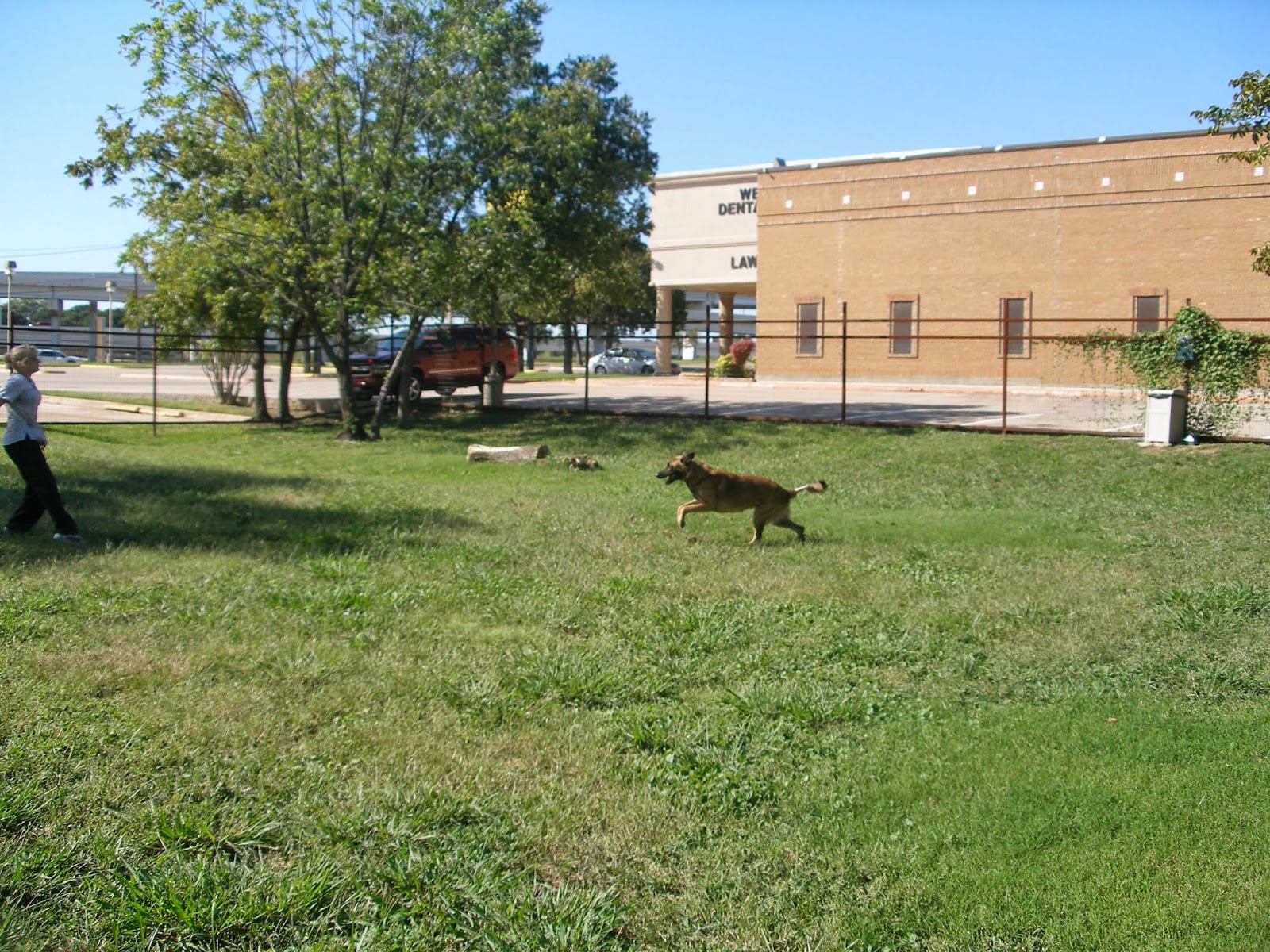 Family Petcare - Fort Worth , United States