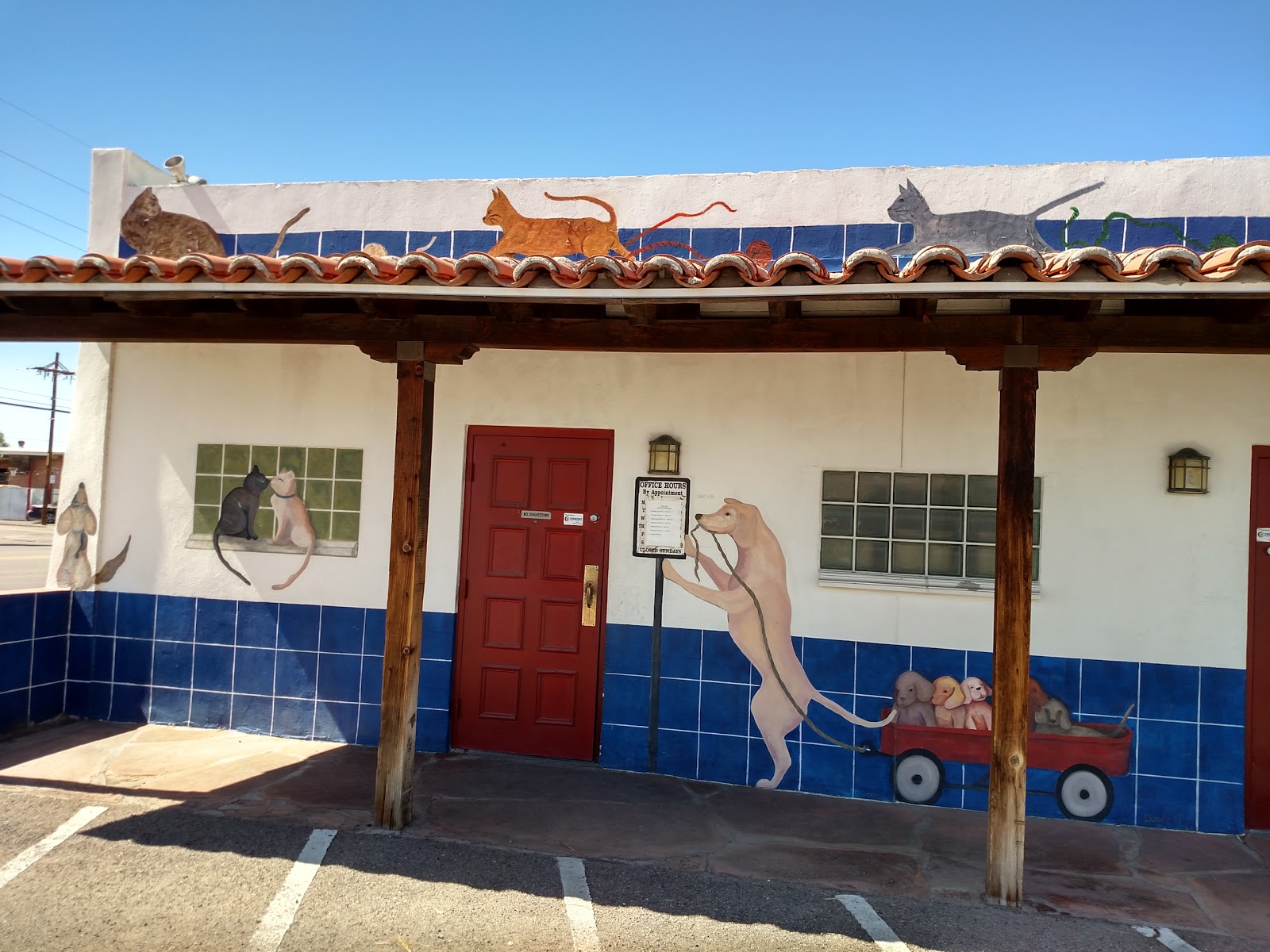Ajo Veterinary Clinic - Tucson , United States