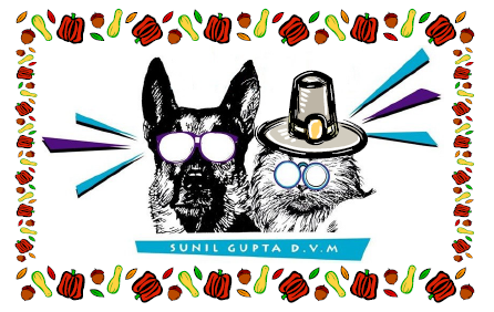 Aboite Animal Clinic And House Call Practice - Fort Wayne , United States