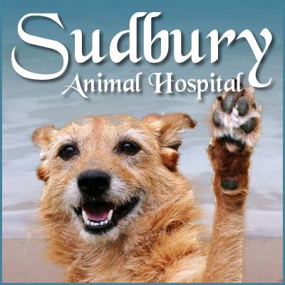 Sudbury Animal Hospital - Sudbury , United States