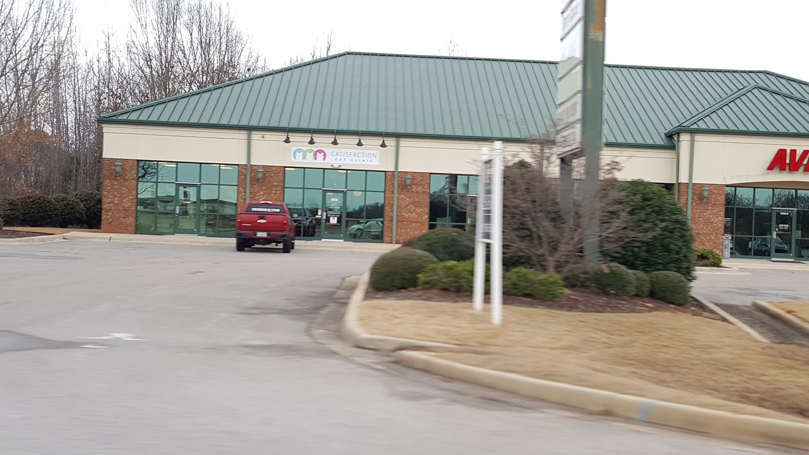 Catisfaction Cat Clinic - Madison , United States