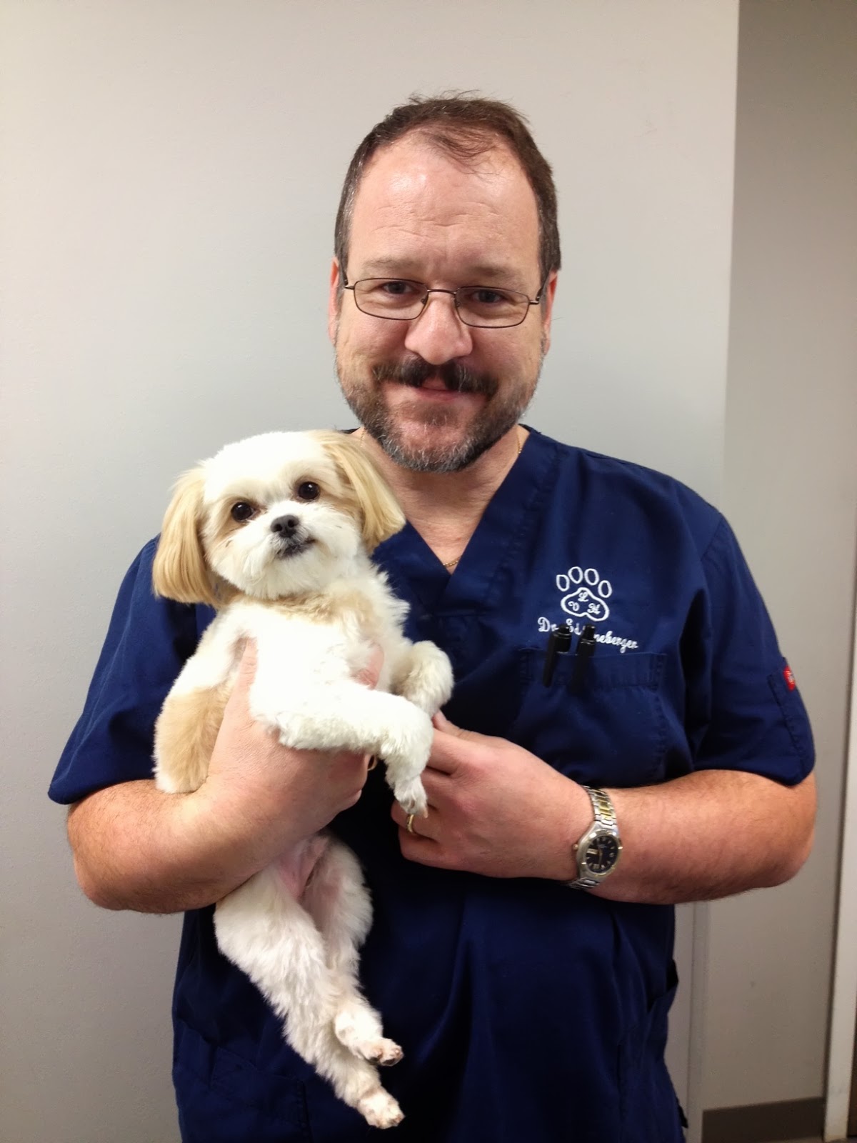 Lineberger Veterinary Hospital - Gastonia , United States