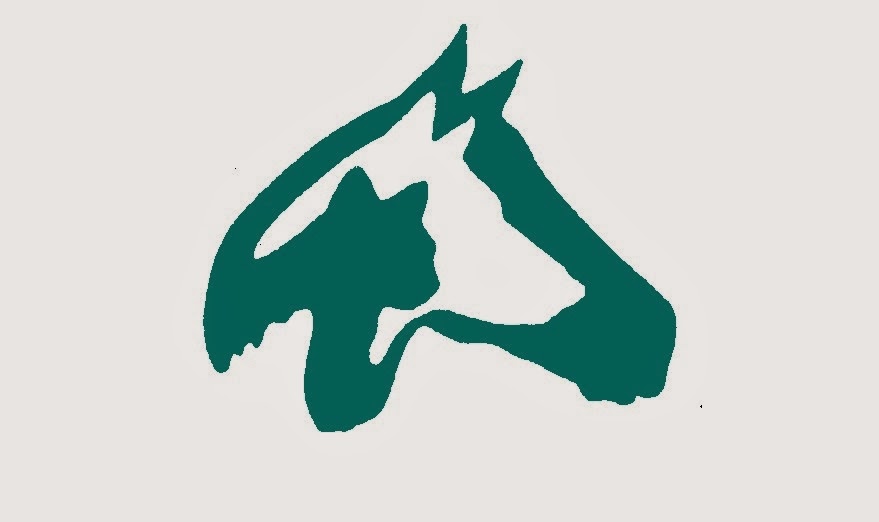 Blue Lake Animal Hospital - Caledonia , United States