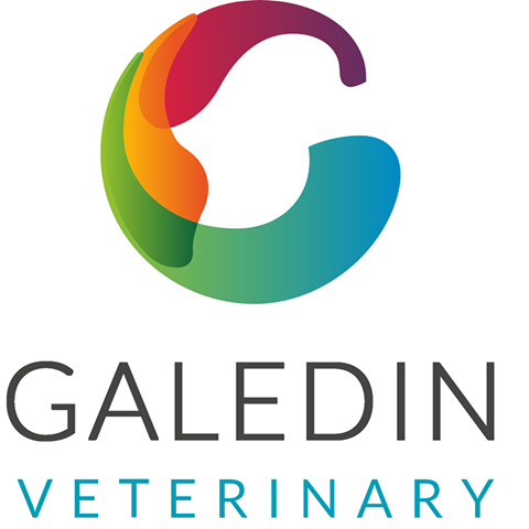 Galedin Vets Coldstream - Coldstream , United Kingdom