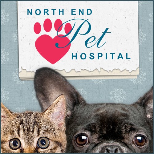 North End Pet Hospital - Tacoma , United States