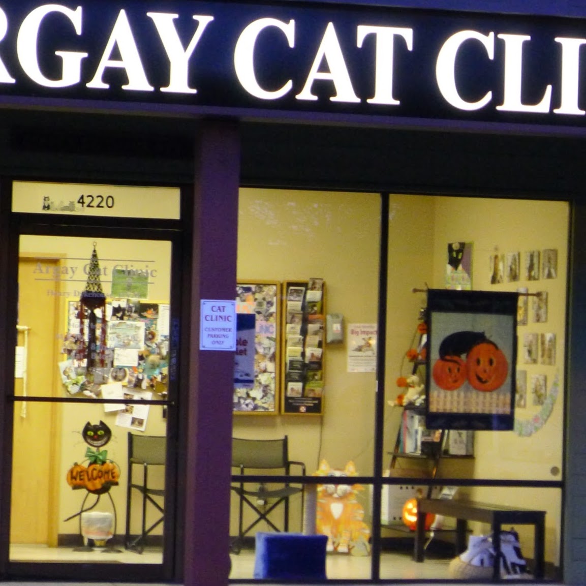 Argay Cat Clinic - Portland , United States