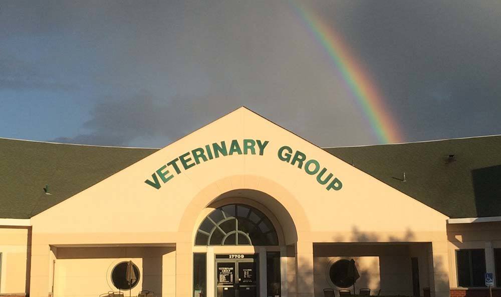 Veterinary Group Of Chesterfield - Chesterfield , United States