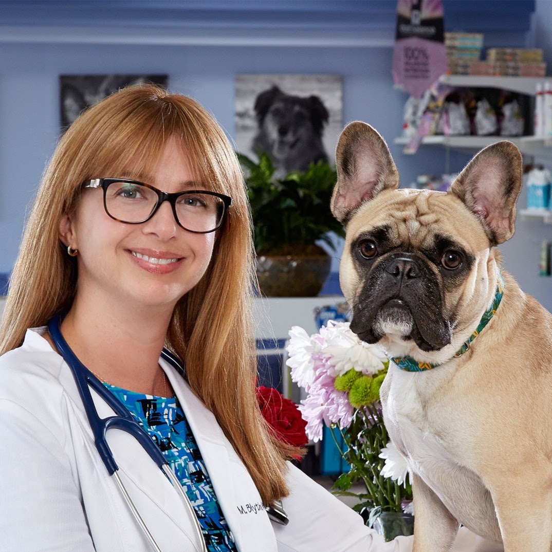 Animal Care Of Ponte Vedra - Ponte Vedra Beach , United States