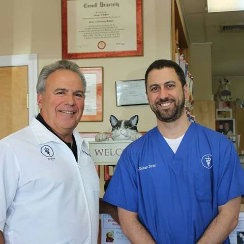 Wading River Veterinary Hospital - Wading River , United States