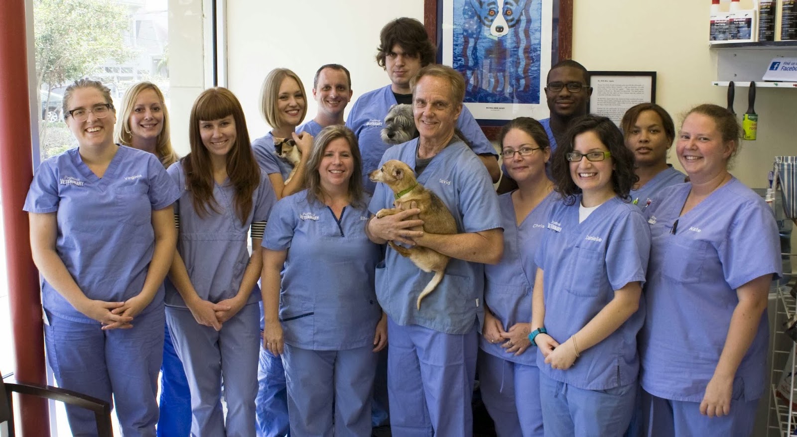 Prytania Veterinary Hospital - New Orleans , United States