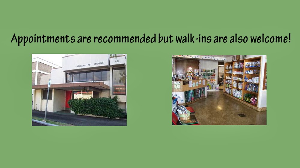 Kapalama Pet Hospital - Honolulu , United States