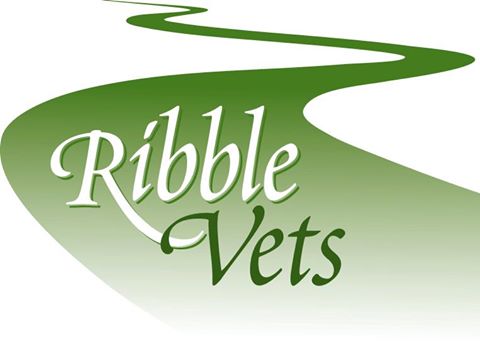 Ribble Vets - Preston , United Kingdom