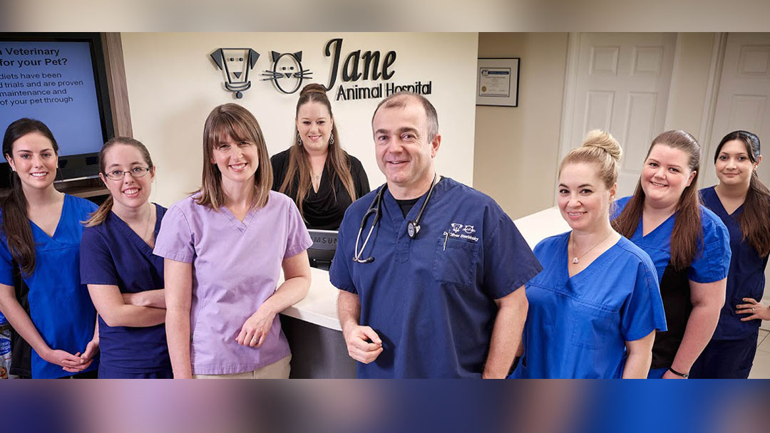 Jane Animal Hospital - Toronto , Canada