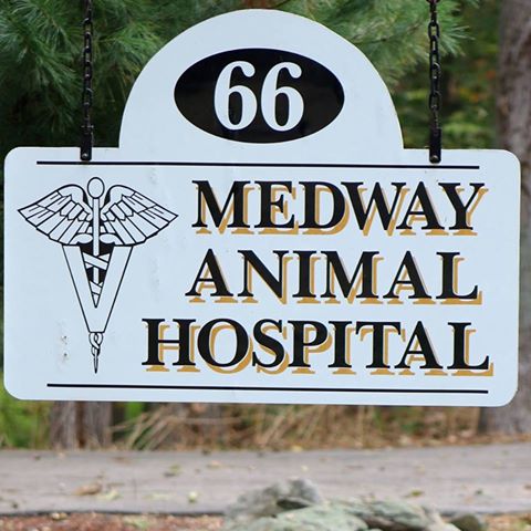 Medway Animal Hospital - Medway , United States