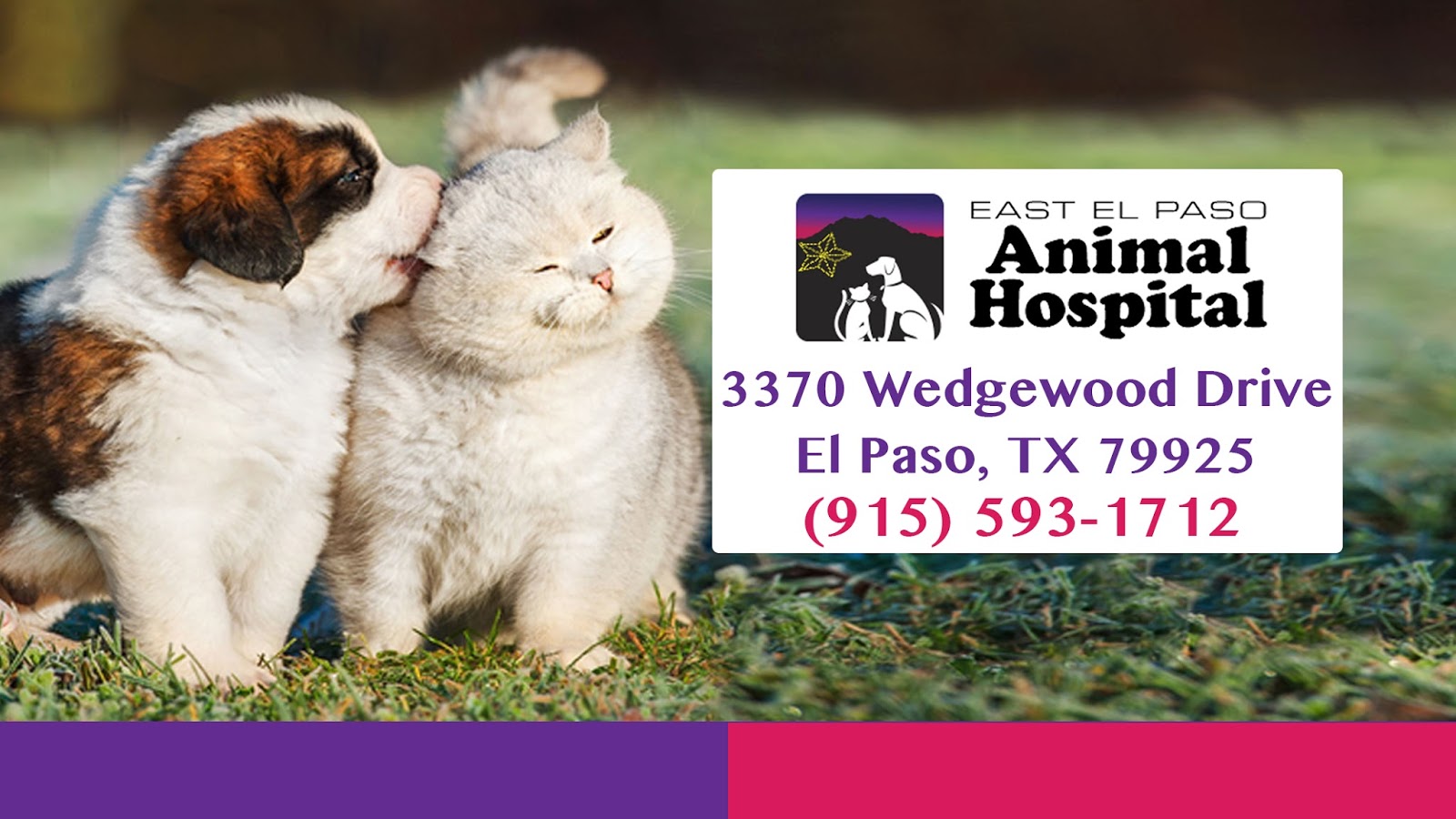 East El Paso Animal Hospital - El Paso , United States