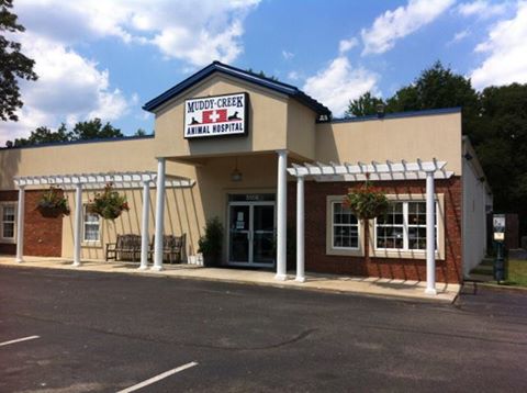 Muddy Creek Animal Hospital - West River , United States