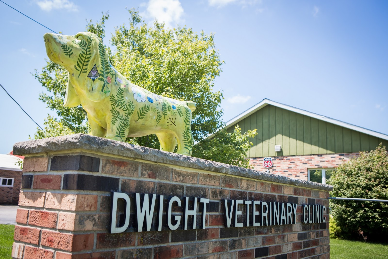 Dwight Veterinary Clinic - Dwight , United States