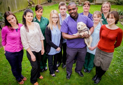 Warlingham Veterinary Centre - Warlingham , United Kingdom