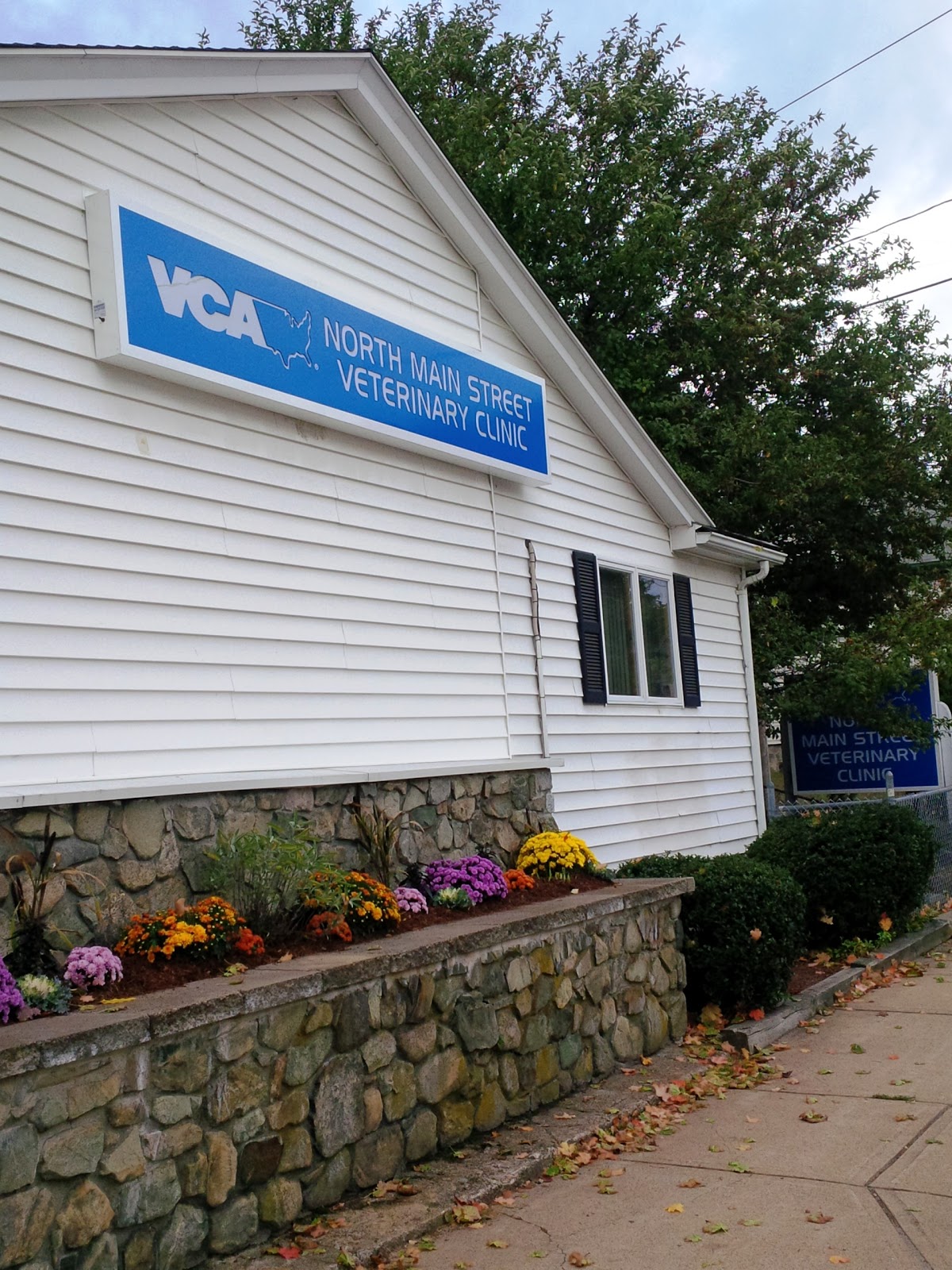 Vca North Main Street Veterinary Clinic - Brockton , United States