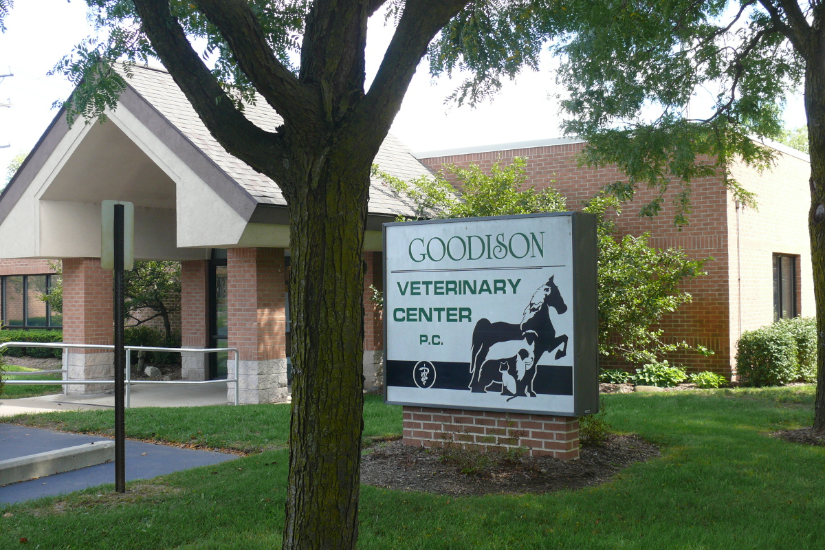 Goodison Veterinary Center - Rochester , United States