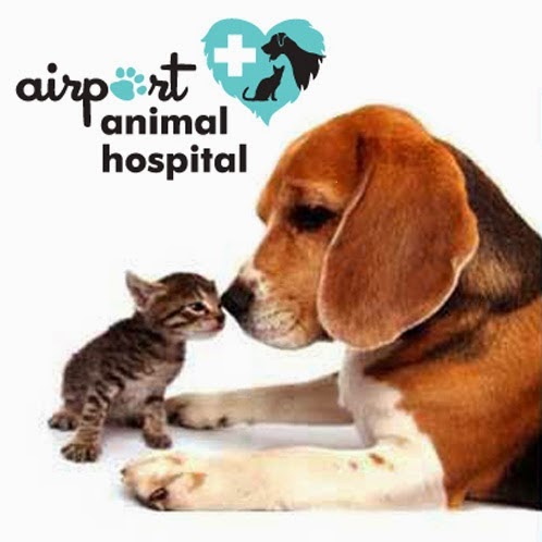 Airport Animal Hospital Toledo: Dr Cuesta Dvm - Toledo , United States