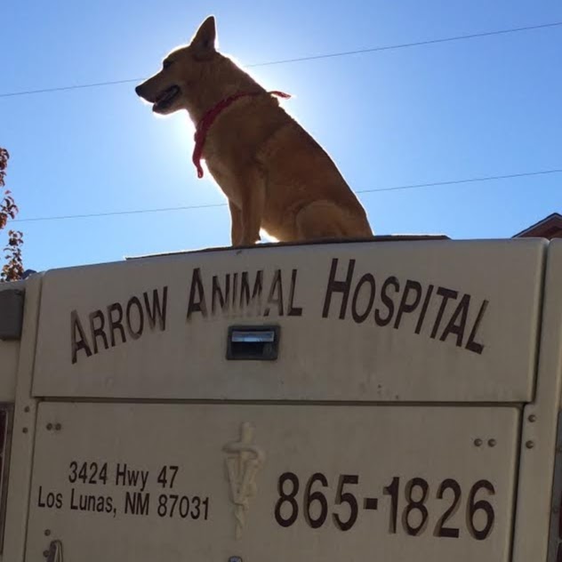 Arrow Animal Hospital - Los Lunas , United States