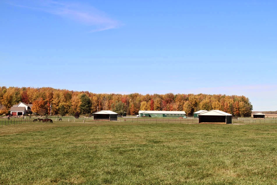 Russell Equine Veterinary Service - Russell , Canada