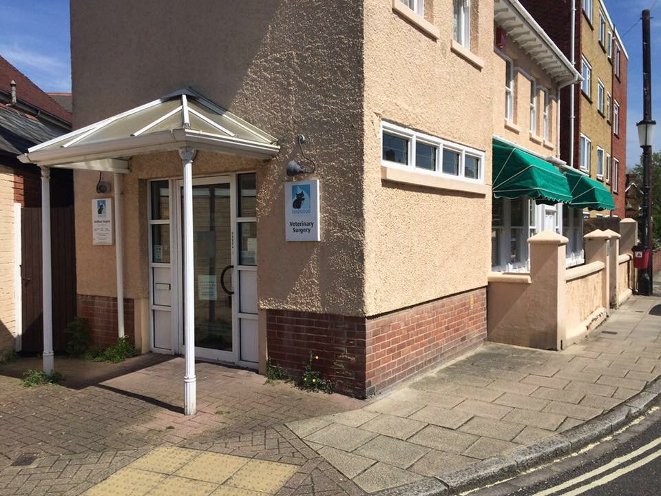 Harbour Veterinary Group Southsea - Southsea , United Kingdom