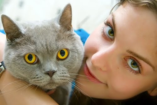 Brentwood Animal Hospital - Sherwood Park , Canada