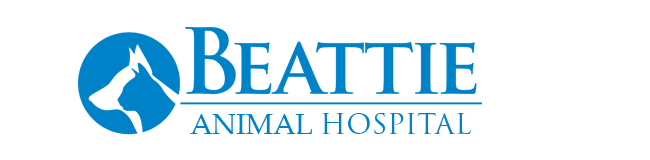 Beattie Animal Hospital - Hamilton , Canada