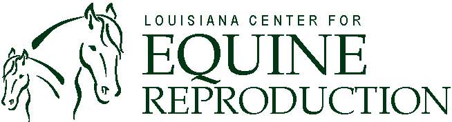 Louisiana Center For Equine - Opelousas , United States