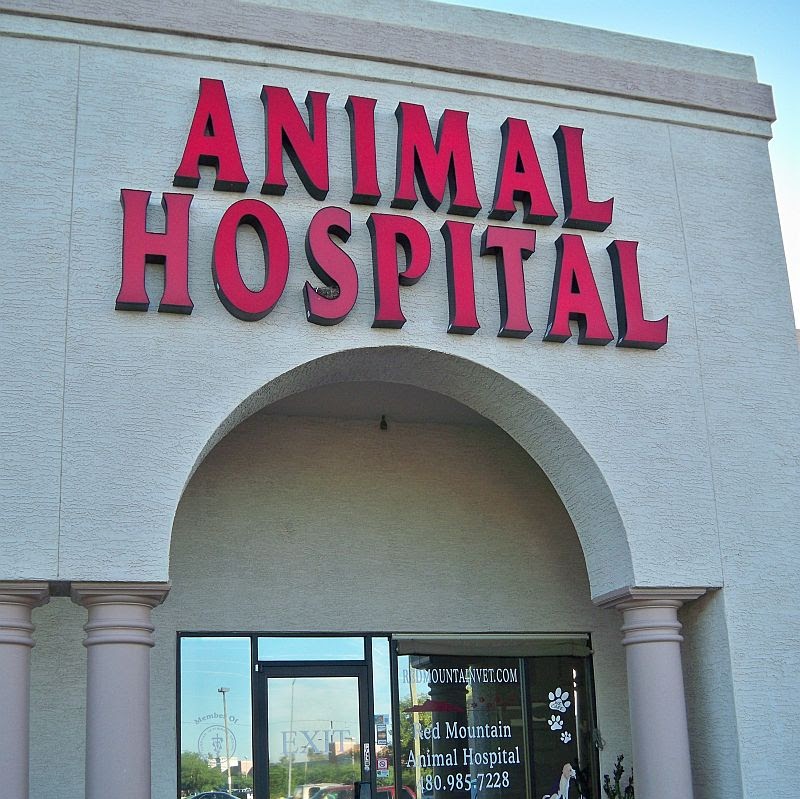 Red Mountain Animal Hospital - Mesa , United States