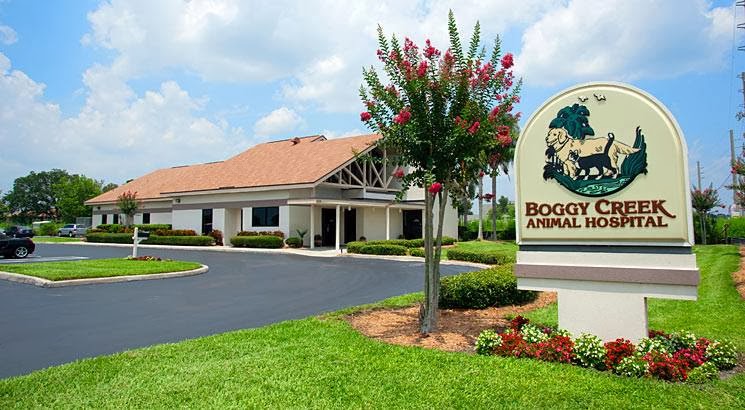 Flora Family Vet Previously Boggy Creek Animal Hospital! - Kissimmee , United States