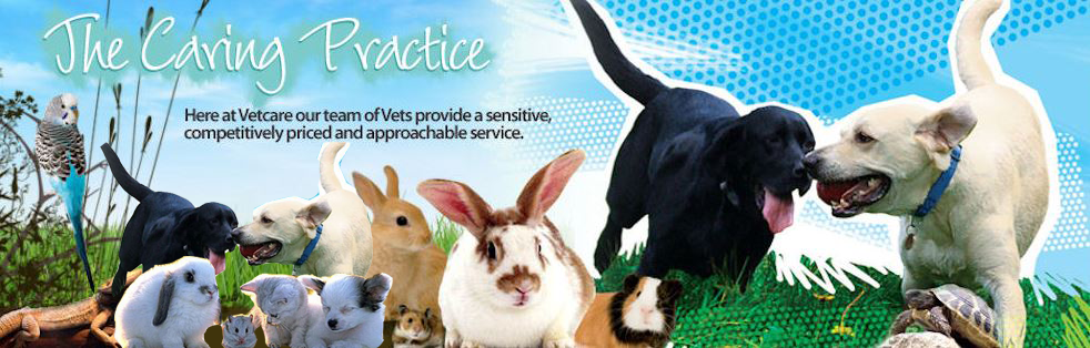 Vetcare Ltd Leigh - Leigh , United Kingdom