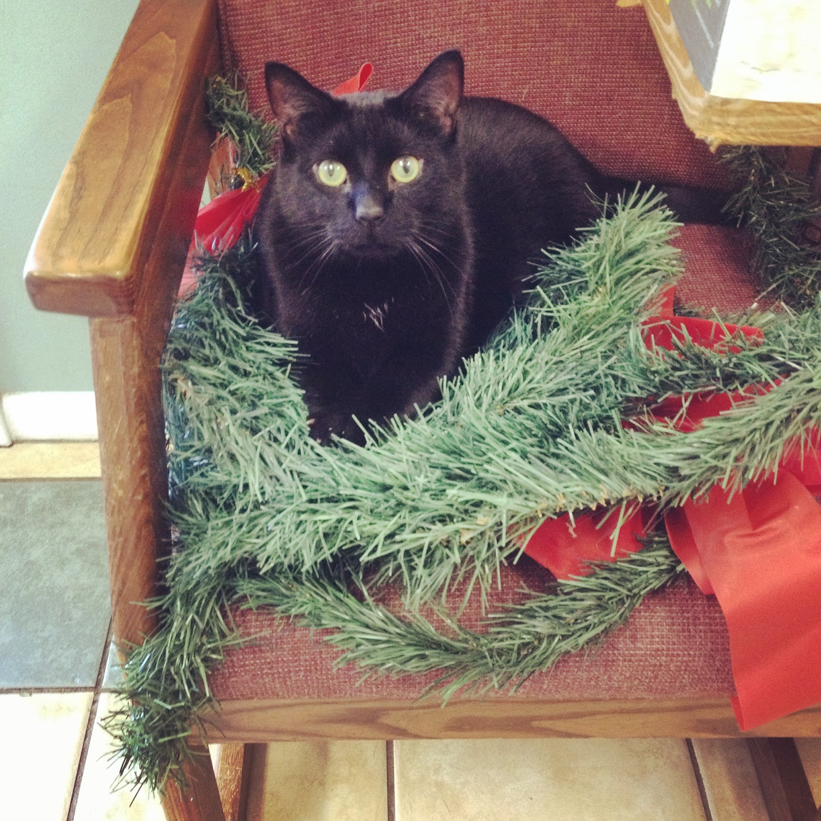 Vetco Total Care Animal Hospital - Hampton , United States