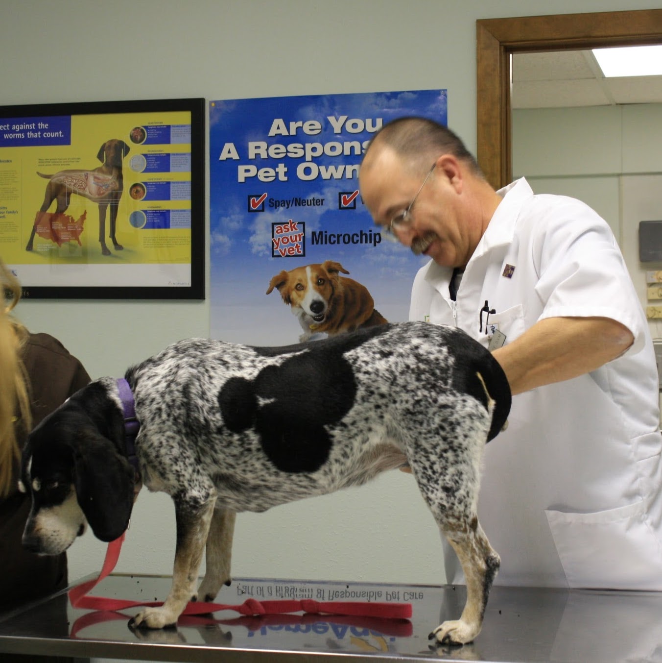 Jimmie Davis Animal Hospital - Bossier City , United States