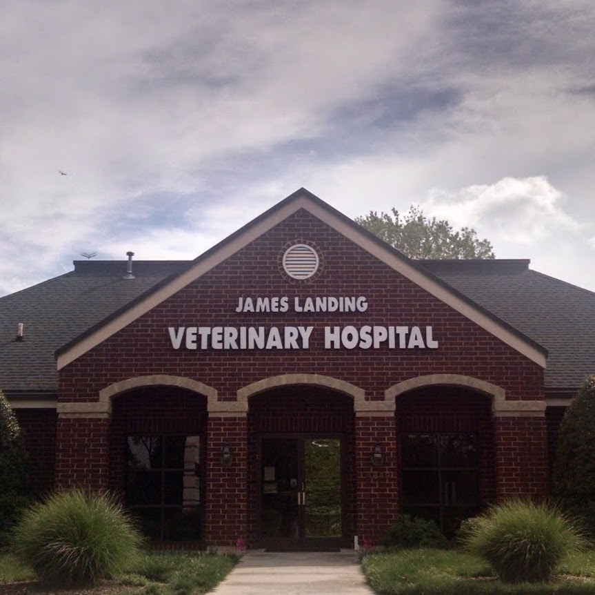 James Landing Veterinary Hospital - Jamestown , United States