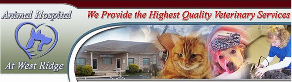 Animal Hospital At West Ridge - Bowling Green , United States