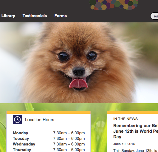Mccordsville Veterinary Hospital - McCordsville , United States