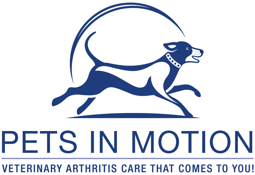 Pets in Motion - Northcote , Australia