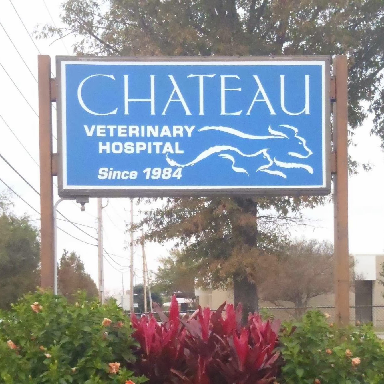 Chateau Veterinary Hospital - Kenner , United States